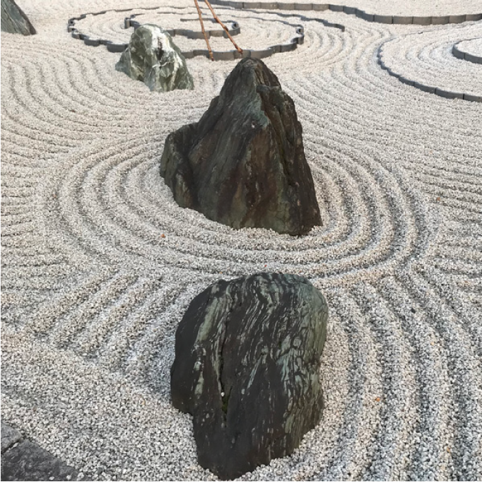 チーフデザイナー 龍山 美佐子